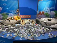 -苏州海洋馆