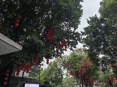-荔湾湖公园