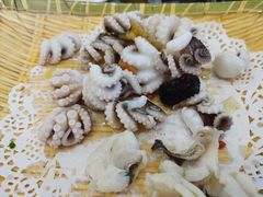 阿姨烫的八爪鱼-荔城生鲜盛宴(番禺旗舰店)