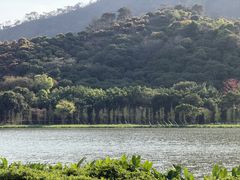 -风云岭森林公园