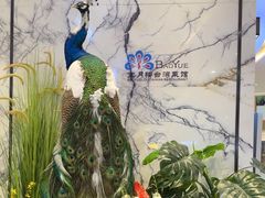 -宝月楼·台湾菜馆(天河城店)