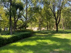 -昆山城市生态森林公园