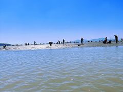 -青岛第一海水浴场