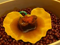-九献创意菜·牛排馆(亮马河花园店)