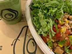 -油梨树 AVOCADO TREE(亮马桥店)