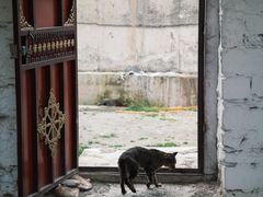 -康坞大寺