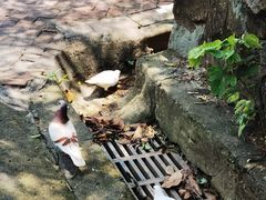 -水濂山森林公园