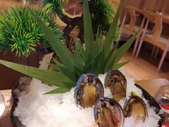 -尚海豆捞(乐虹坊店)