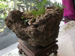 -上海三爱中医门诊部(建德坊店)