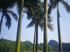 -星湖旅游景区七星岩