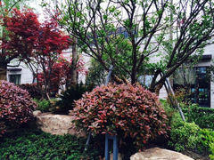 iphone_upload_pic-上海崇明金茂凯悦酒店