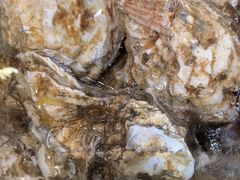 -老虎滩船说·海胆水饺·大连海鲜(老虎滩店)