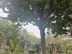 -广州神农草堂中医药博物馆