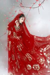 -盘子女人坊古装写真摄影(天津总店)