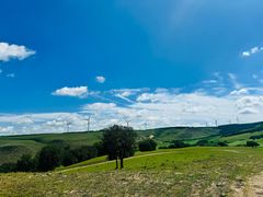 -塞罕坝国家级自然保护区