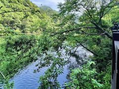 -宁海森林温泉