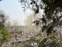 -颐和园