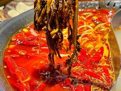 -阳阳老火锅(小南门店)