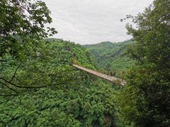 -川西竹海景区