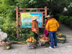 -双桥园·云南过桥米线(古城南门店)