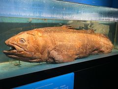 -国家自然博物馆