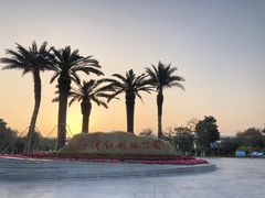 -宝安西湾红树林湿地公园