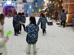 -世界之窗阿尔卑斯冰雪世界
