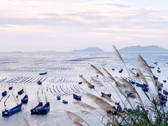 -枸杞岛