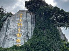 -云南野生动物园