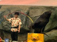 -威海华夏城景区