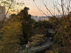 -福道