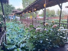 -军山湖云水间水上餐厅(进贤店)