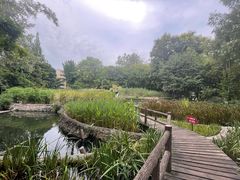 -成都市活水公园