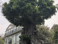 -荔湾湖公园