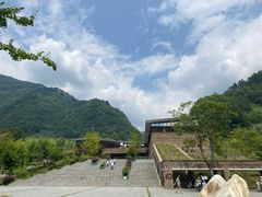 -卧龙中华大熊猫苑神树坪基地