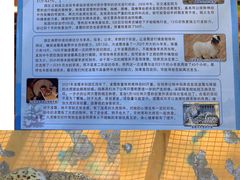 -青藏高原野生动物园