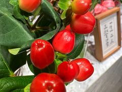 -懒人盐府人家(航天桥店)