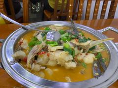 -全乐鱼馆·淳牌有机鱼直营店