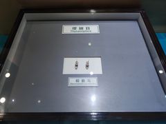 -上海昆虫博物馆