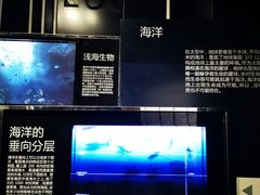 -同济大学四平路校区深海探索馆
