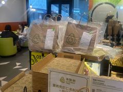 -油梨树 AVOCADO TREE(亮马桥店)
