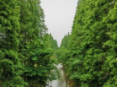 -黄海国家森林公园