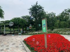 -黄龙溪欢乐田园