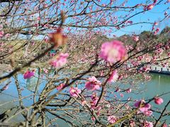 -白塘生态植物园