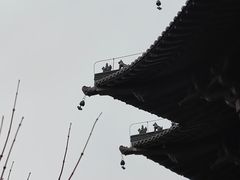 -杭州半山国家森林公园