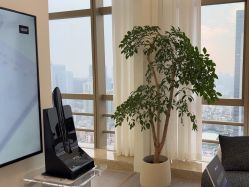 -JNK皮肤管理中心