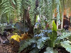 -Fern Forest Cafe