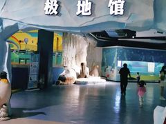 -重庆欢乐海底世界