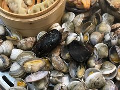 -海博汇蒸汽海鲜