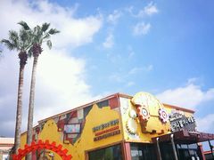 -信不信由你博物馆